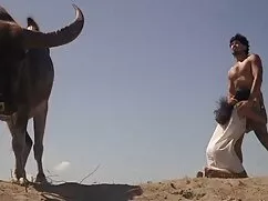 あなたの友人に赤い髪を持つモンスター、す ...