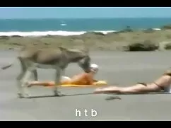 ビッグブラザー成長した男a脂肪女の子 女 ...